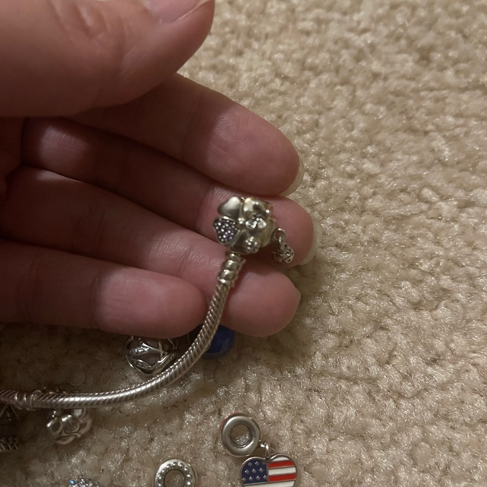 Pandora bracelet with charms